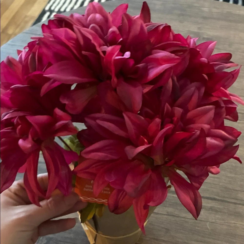 Elegant Dark Pink Dahlia Arrangement